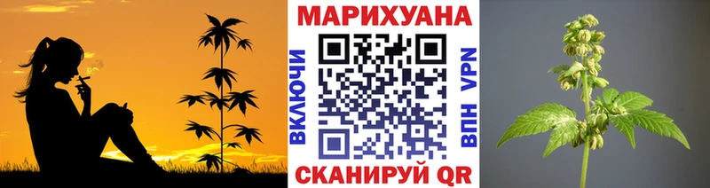 Купить закладки  Тында  Шишки марихуана планчик 
